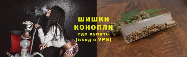 молекула духа Осташков