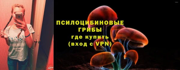 крисы Няндома