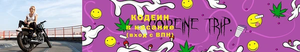 спиды Осинники
