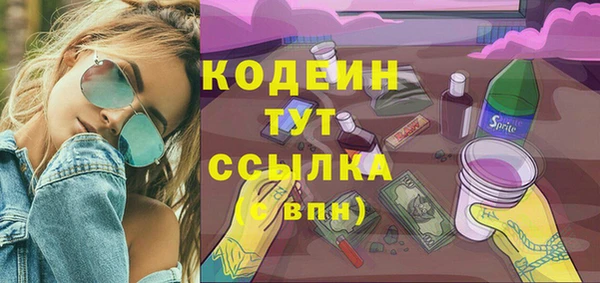 молекула духа Осташков