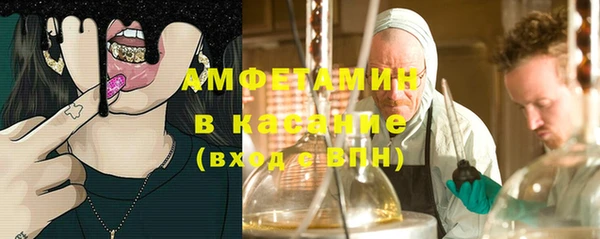 молекула духа Осташков