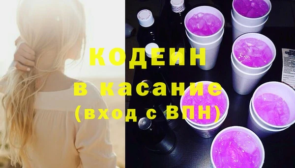 крисы Няндома