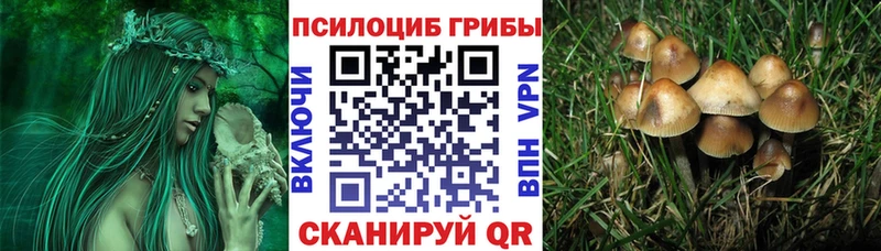 Купить закладки Сибай Псилоцибиновые грибы мухоморы